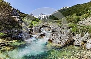 Mountain brook in the Pyrenees photo